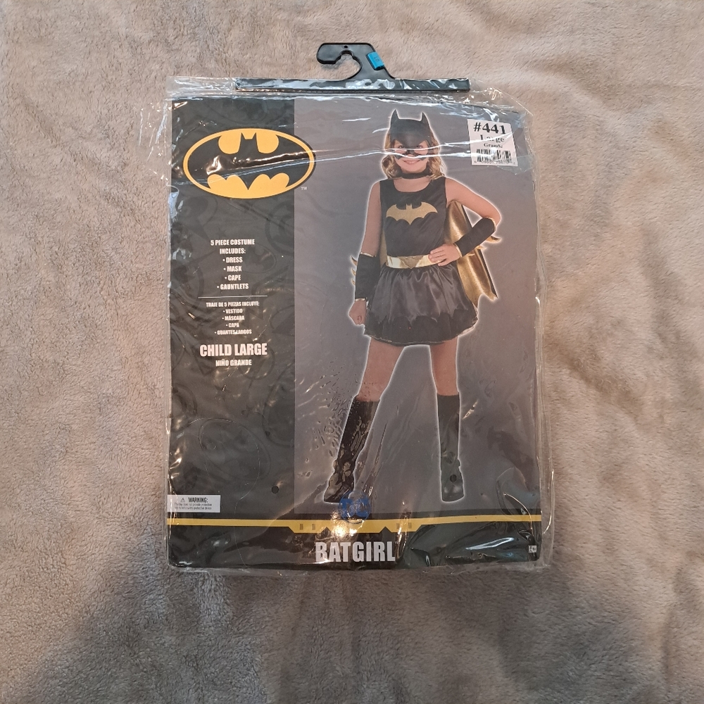 Batgirl Halloween Costume